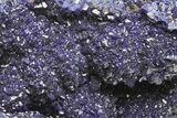 Sparkling Azurite Crystal Cluster - China #215849-5